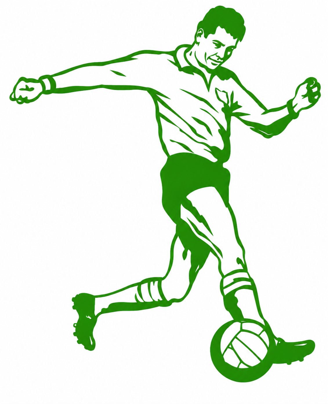 IVS 1 logo